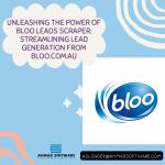 A Guide to Extracting Information from Bloo.com.au