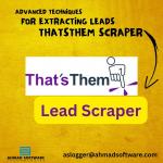 Advanced Techniques For Extracting Leads With Thatsthem Scraper