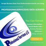 Get All The Business Information From Professionalservices4u.com In One Place