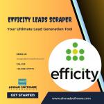 How To Scrape Real Estate Agents Data From Efficity.com