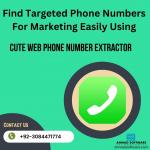 Top 2 Highly Rated Phone Number Finder Tools of 2024