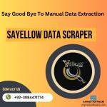 Unleashing The Power of Data with the Sayellow.com Leads Scraper